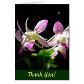 Pink Orchids (Front)