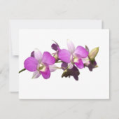 Pink orchids (Front)