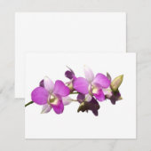 Pink orchids (Front/Back)