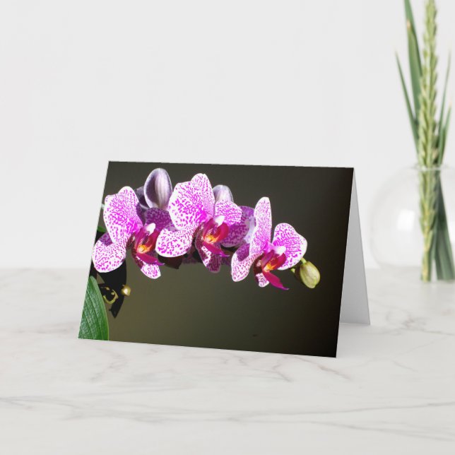 Pink Orchids Card (Front)