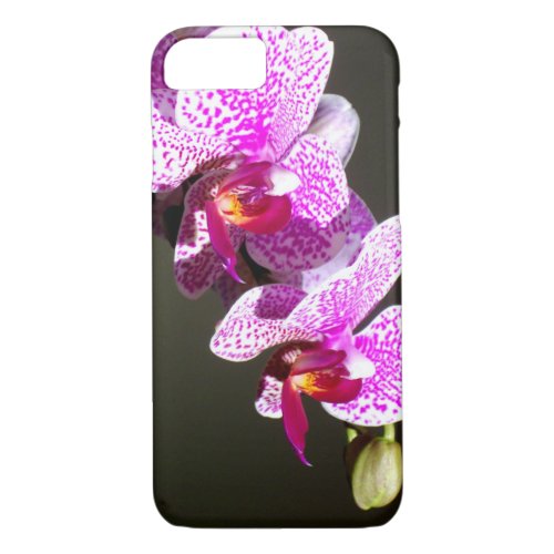 Pink Orchids iPhone 87 Case