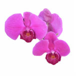 Pink Orchids Cutout<br><div class="desc">Pink orchids make a lovely 3D ornament</div>