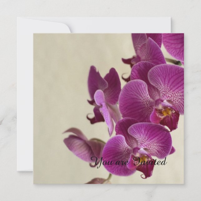 Pink Orchids Flowers Birthday Invitation (Front)