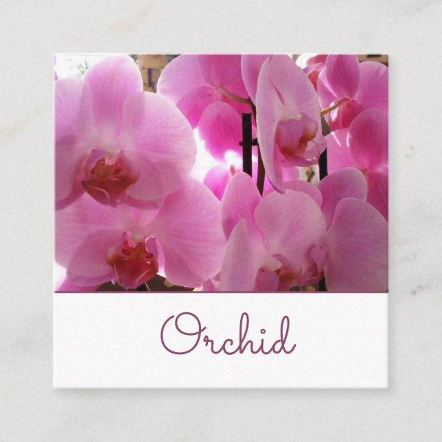 Pink Orchids Flowers Square Business Card (Front)