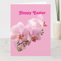 Pink Orchids “Happy Easter” 