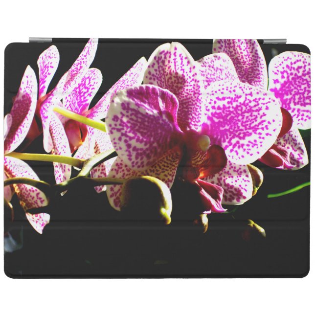 Pink Orchids iPad Smart Cover (Horizontal)