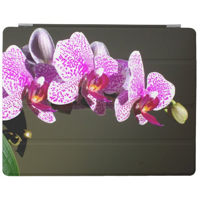 Pink Orchids iPad Smart Cover (Horizontal)