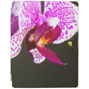 Pink Orchids iPad Smart Cover