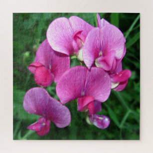 Pink Orchids Jigsaw Puzzle