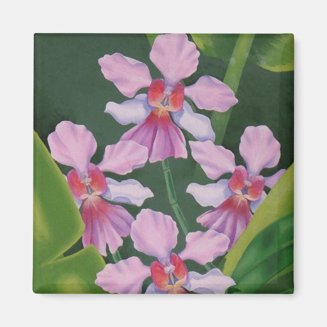 Pink Orchids Magnet (Front)