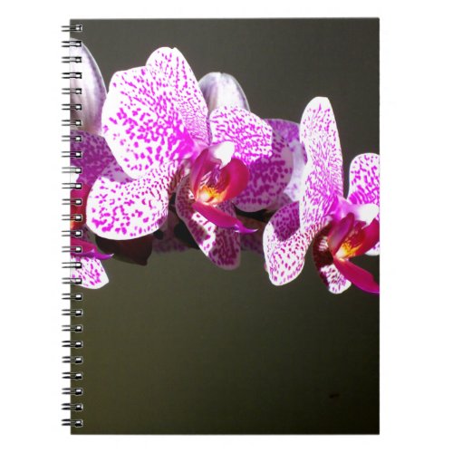 Pink Orchids Notebook