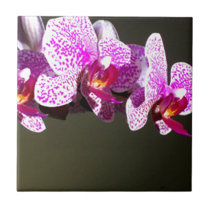 Pink Orchids pink tropical flowers Ceramic Tile
