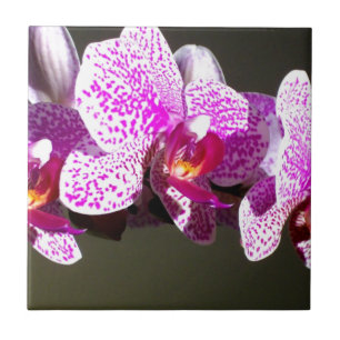 Pink Orchids romantic pink tropical floral photo Ceramic Tile