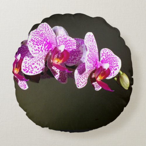 Pink Orchids Round Throw Pillow 16