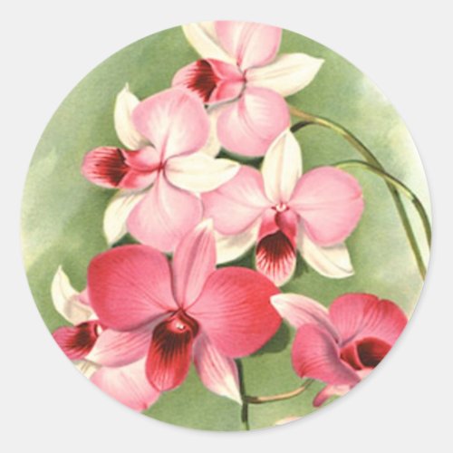 Pink Orchids _ Sticker