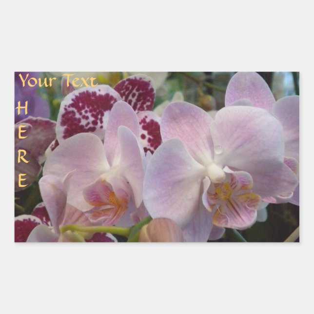 Pink Orchids stickers. *personalize* Rectangular Sticker (Front)