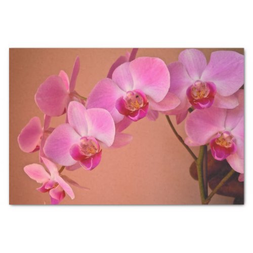 Pink Orchids Tissue Paper