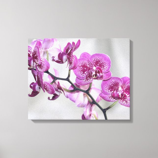 Pink Orchids Wrapped Canvas Print (Front)