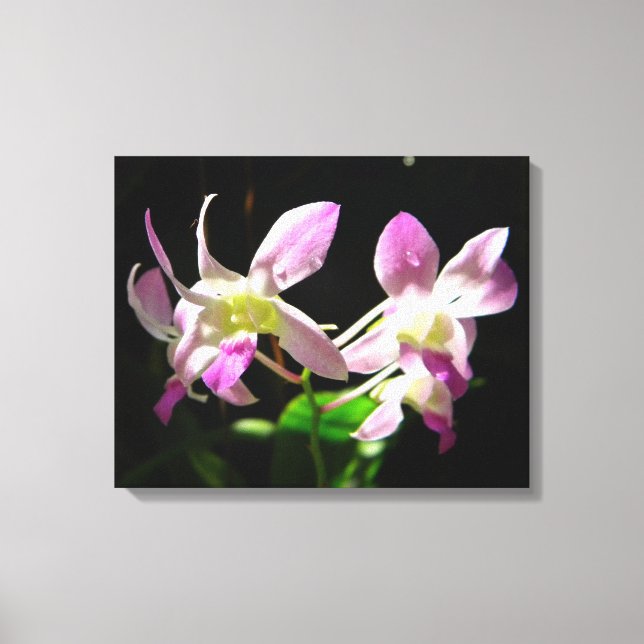 Pink Orchids Wrapped Canvas Print (Front)