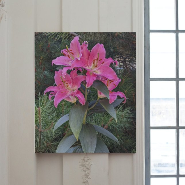 Pink Oriental Lily Blooms Floral Gallery Wrap (In Situ)