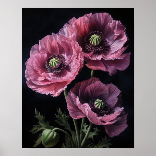 Pink Oriental Poppy Flowers Art Print Poster (Front)