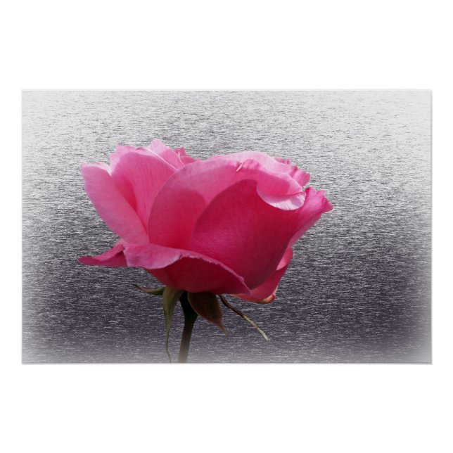 pink over gray poster (Front)