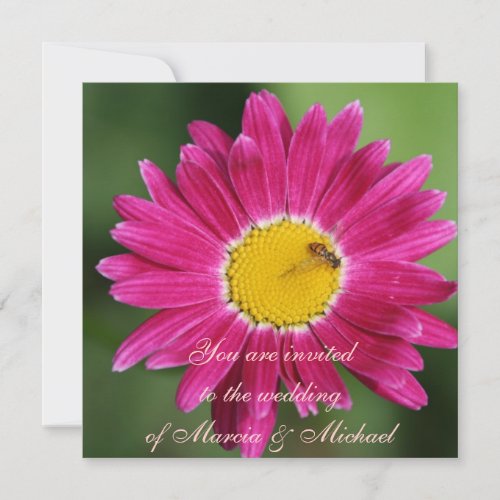Pink Painted Daisy Custom Invite
