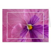 Pink Pansie Card (Front Horizontal)