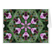 Pink Pansy (Front Horizontal)