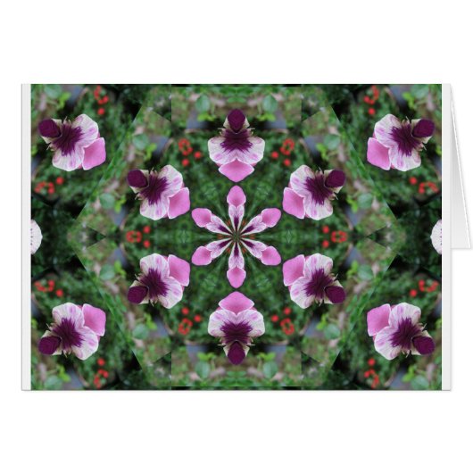 Pink Pansy Cards (Front Horizontal)