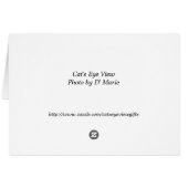 Pink Panther Rides Again (Back Horizontal)