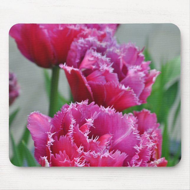 Pink parrot tulips mouse pad (Front)