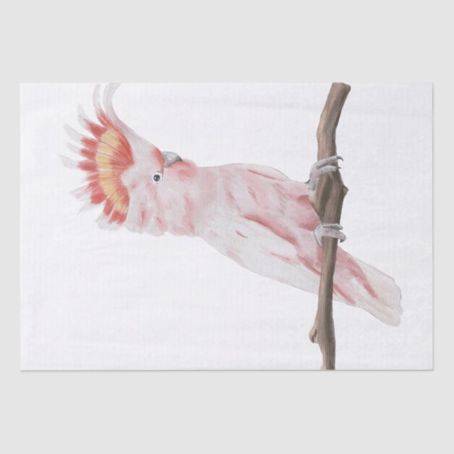 Pink Parrot Watercolor Art Tissue Paper (Front)