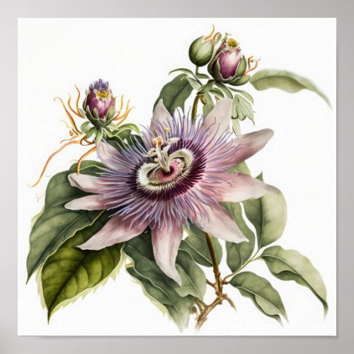 Pink Passion Flower Art Print Poster