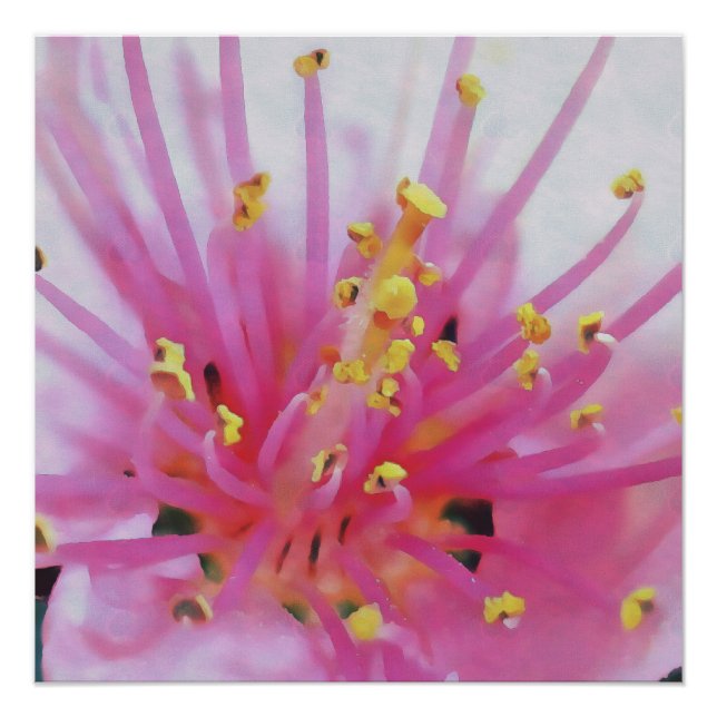 Pink Peach Pollen Macro Abstract Art Poster (Front)
