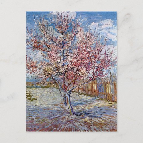 Pink Peach Tree Blossom Vincent Van Gogh Postcard
