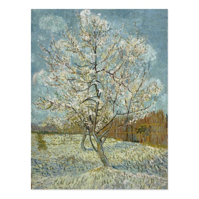 Pink Peach Tree by Vincent Van Gogh Post Cards