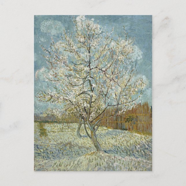 Pink Peach Tree by Vincent Van Gogh Postcard (Front)