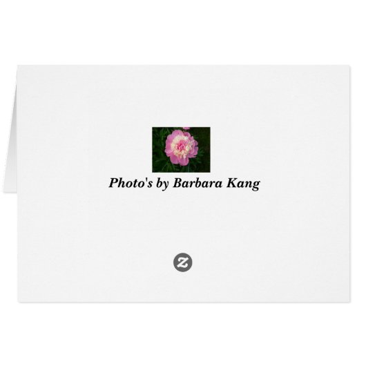 Pink Peonies (Back Horizontal)