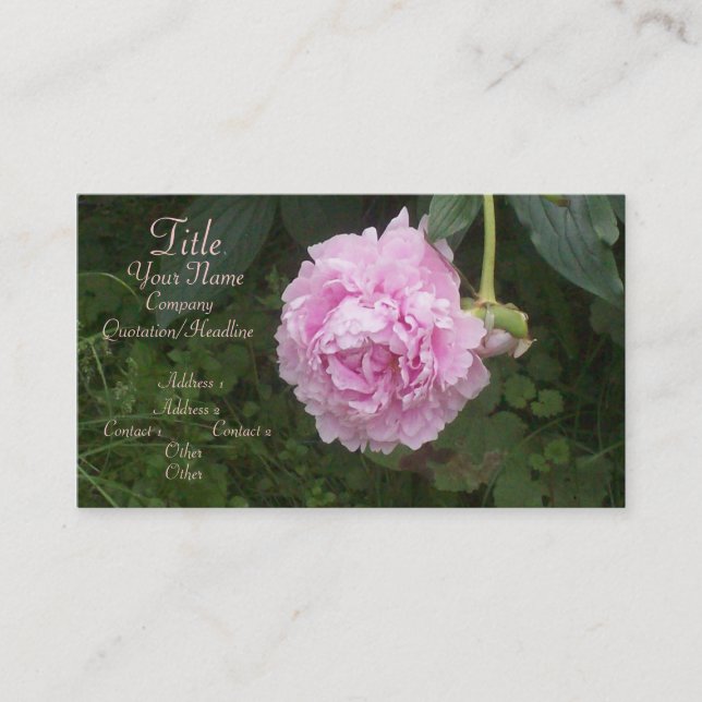 Pink Peonies Business Card (Front)