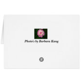 Pink Peonies Cards (Back Horizontal)