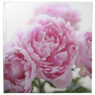 pink peonies dinner napkins