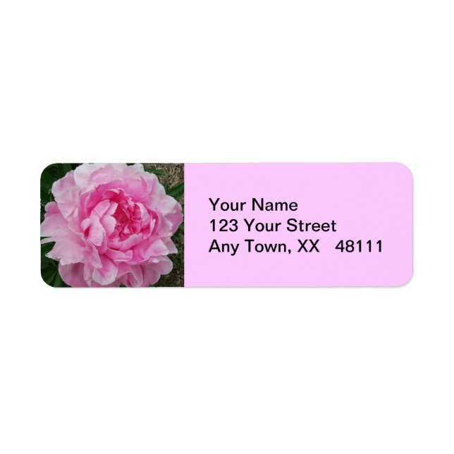 Pink Peonies Floral Return Address Label (Front)