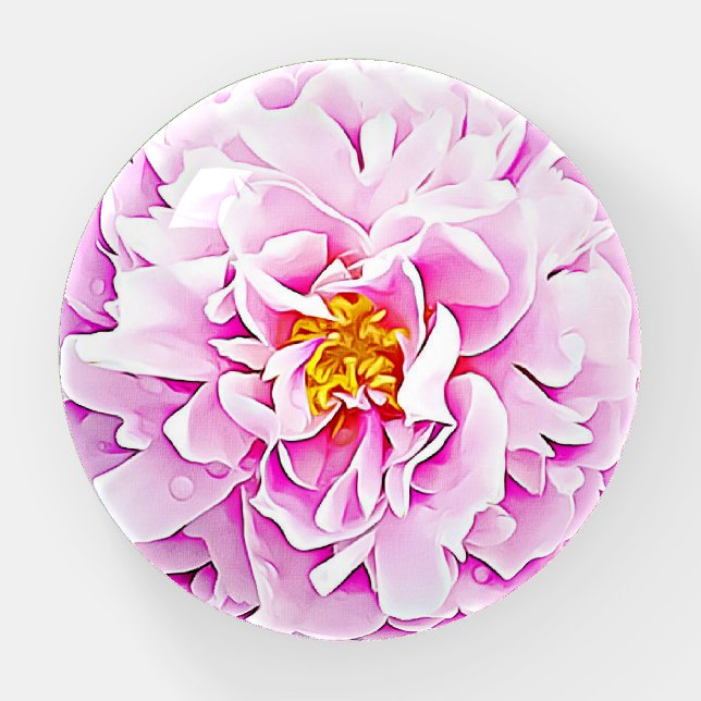 Pink Peonies Floral with Raindrops Paperweight (Front)