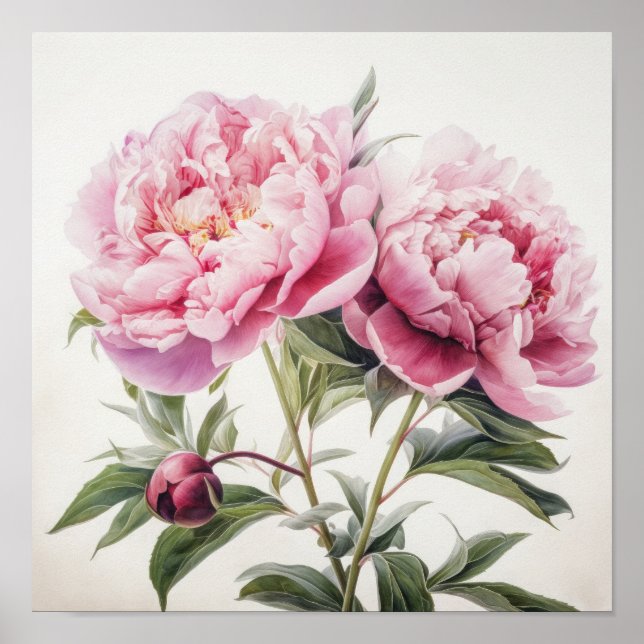 Pink Peonies Flower Art Print Poster (Front)