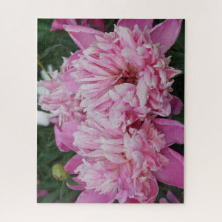 Pink Peonies Jigsaw Puzzle