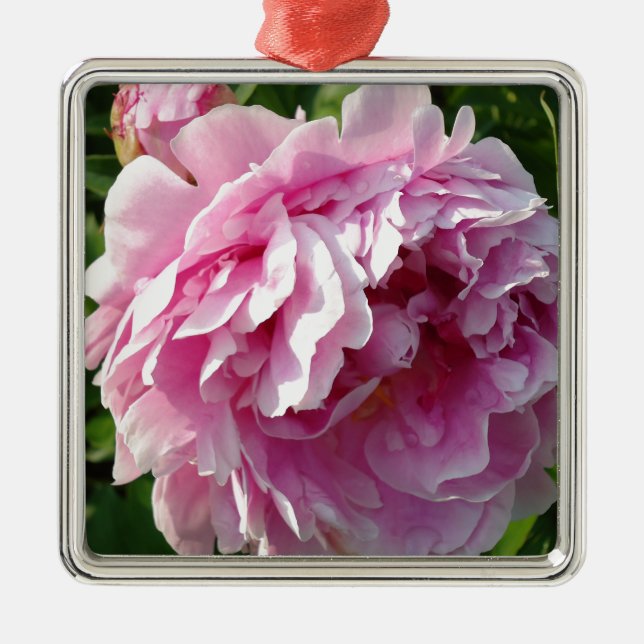Pink Peonies Metal Ornament (Front)