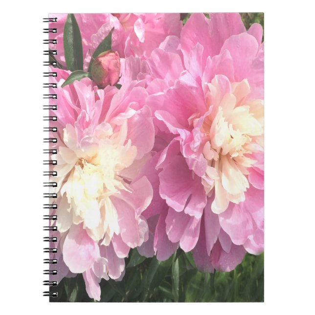 Pink Peonies Notebook (Front)