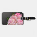 Pink Peonies On Dark Background Luggage Tag at Zazzle