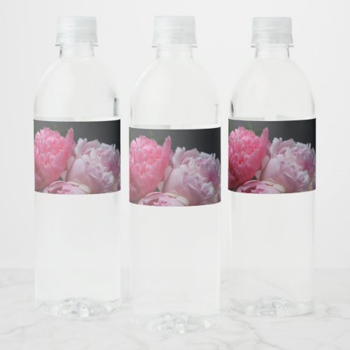 Pink peonies on dark background water bottle label